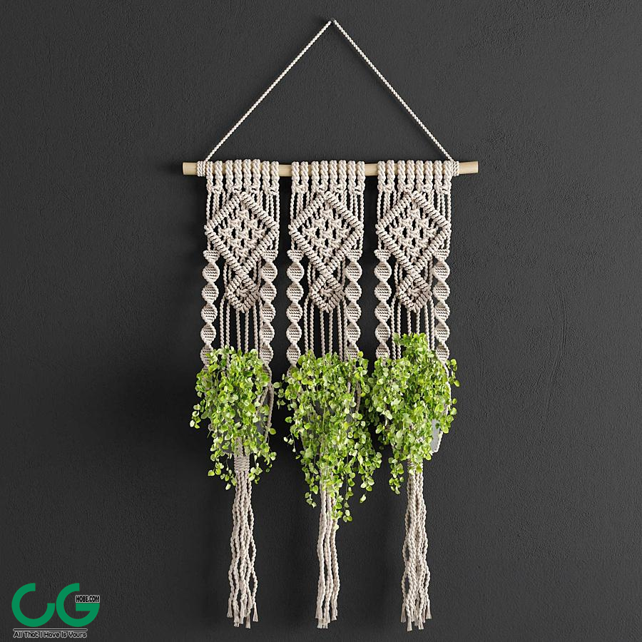 Macrame Planter